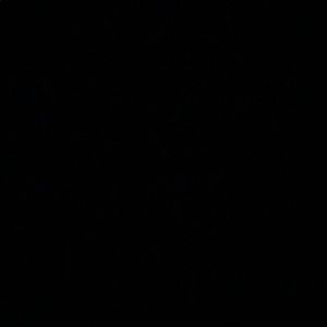 Meet your Posher, Leann